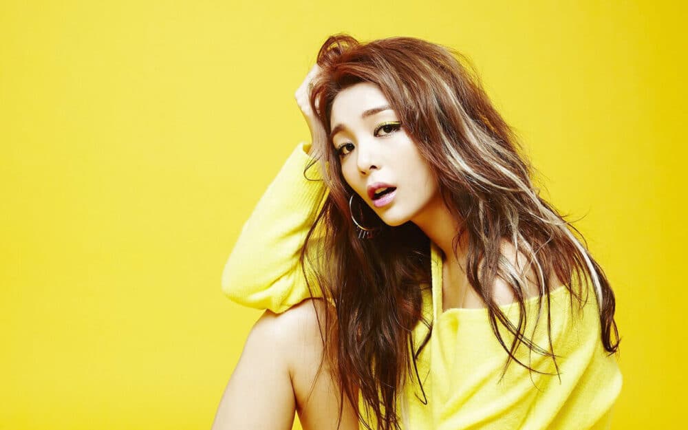Ailee, Ailee và hành trình trở thành “Beyonce xứ Hàn”