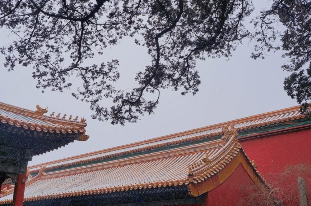 Năm tháng tĩnh lặng kiếp này bình yên: Trong trẻo mà đầy sâu lắng Phong canh Co Cung TQ e1575549672862 - Năm tháng tĩnh lặng kiếp này bình yên: Trong trẻo mà đầy sâu lắng