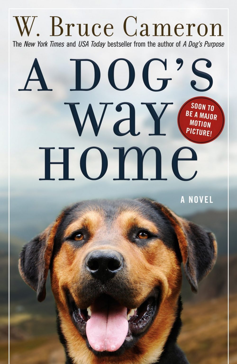 book-a-dogs-way-home