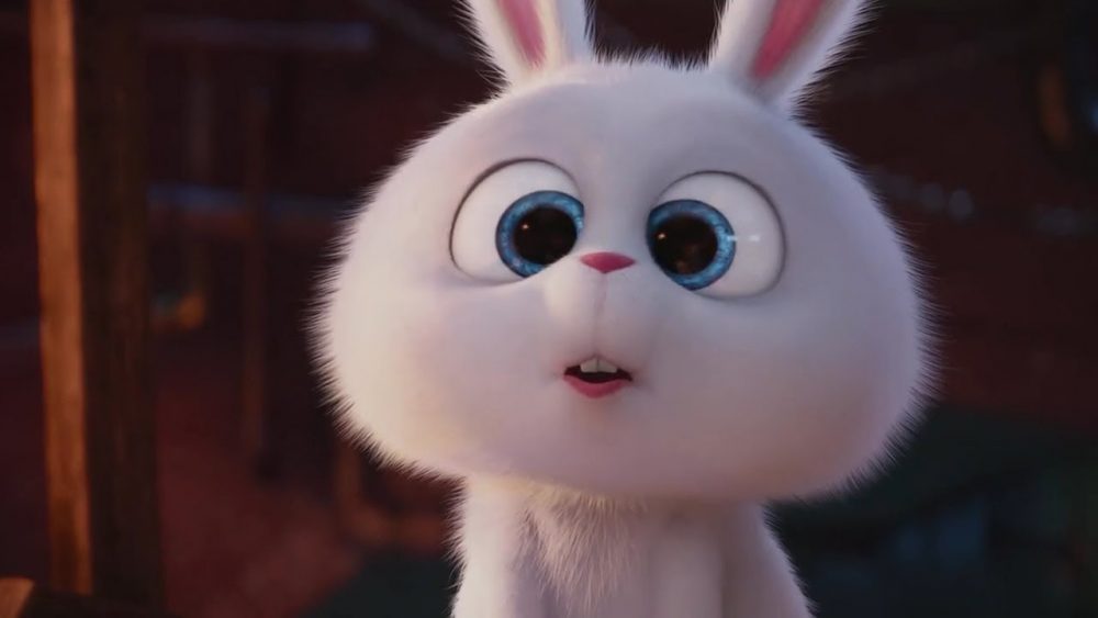 The Secret Life of Pets: Hài hước và dễ thương khó cưỡng dang cap thu cung snow ball e1588054803973 - The Secret Life of Pets: Hài hước và dễ thương khó cưỡng