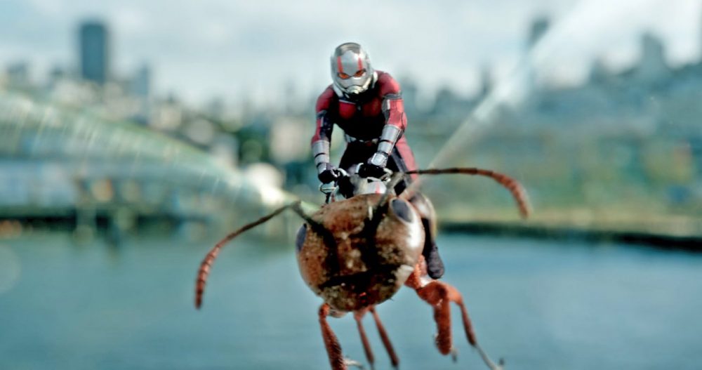 sieu anh hung ant man e1587654167556 - "Ant Man and the Wasp": Một thập kỷ thống trị điện ảnh của Marvel