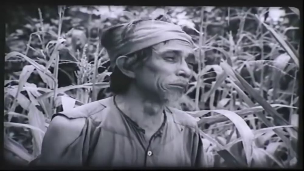 truyen ngan lao hac cua nha van nam cao e1587824154416 - Lão Hạc: Bức tranh u ám về cuộc sống người dân Việt Nam trước năm 1945