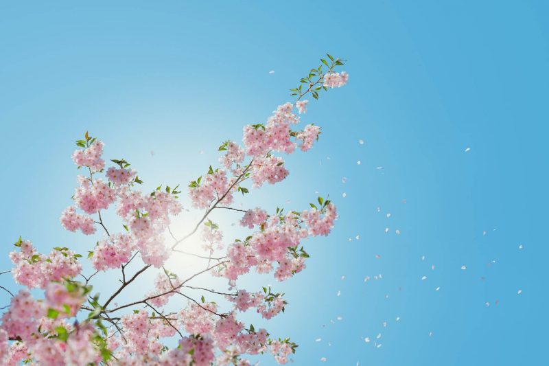 xuan-thi