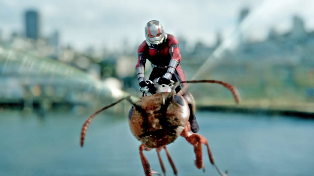 hinh anh ky xao tuyet voi cua ant man e1596185069921 - Ant Man: Câu chuyện thú vị về siêu anh hùng nhỏ nhất thế giới