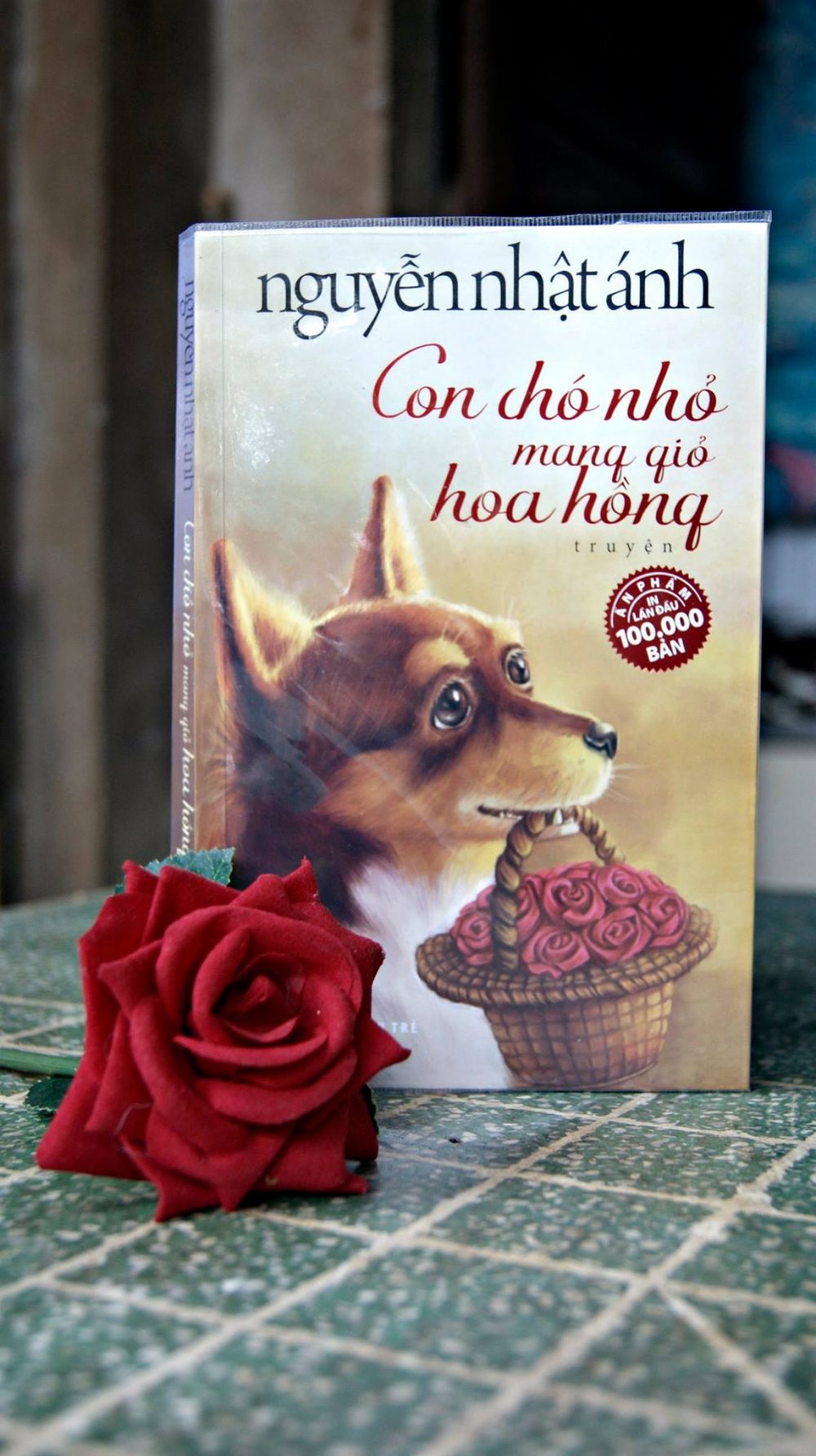 Trang bìa cuốn truyện Con chó nhỏ mang giỏ hoa hồng