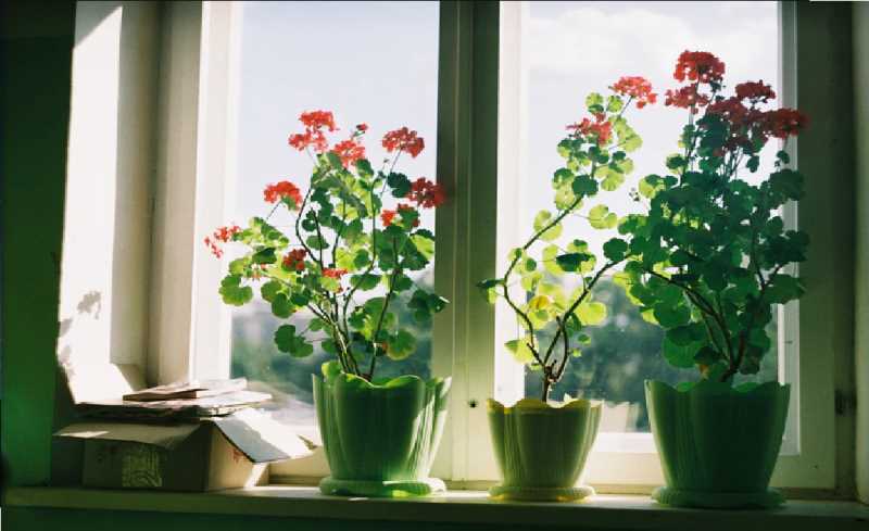 Vậy tôi sẽ biến mất khỏi thế gian này