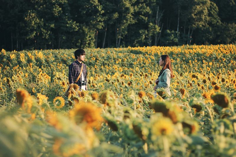 Nhắm Mắt Thấy Mùa Hè: Dấu ấn đẹp của dòng phim độc lập nham mat thay mua he hinh anh 6 - Nhắm Mắt Thấy Mùa Hè: Dấu ấn đẹp của dòng phim độc lập