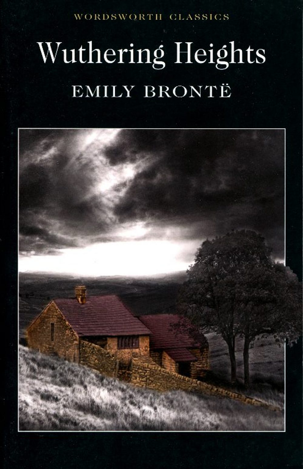 phien ban tieng anh cua doi gio hu e1599843714314 - Emily Bronte: Viên ngọc quý trên văn đàn của xứ sở sương mù