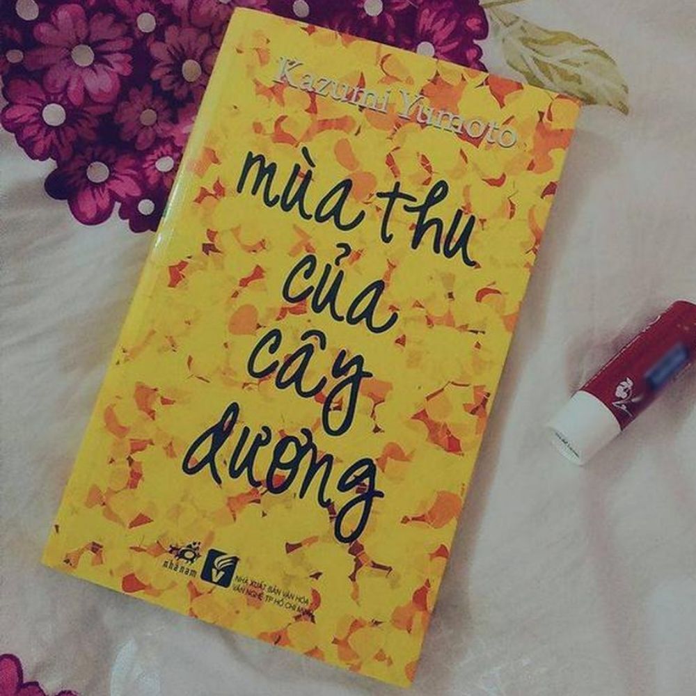 Mùa thu của cây dương cùng những lá thư không lời hồi đáp cac tac pham cua Kazumi Yumoto nhe nhang ma sau lang - Mùa thu của cây dương cùng những lá thư không lời hồi đáp