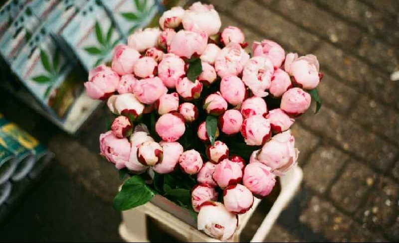 Tớ là siêu nhân của chính mình