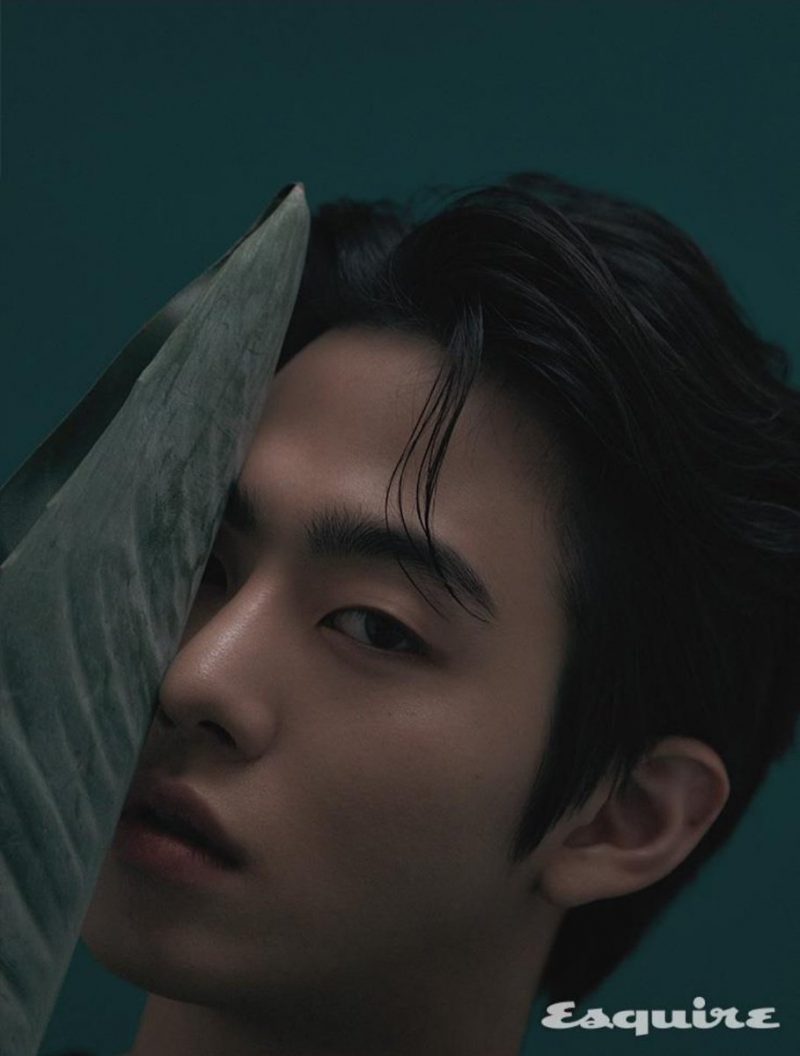 Ahn Hyo Seop: Hành trình "cá chép hóa rồng" của nam diễn viên đa tài ahn hyo seop hinh anh 5 e1625217958153 - Ahn Hyo Seop: Hành trình "cá chép hóa rồng" của nam diễn viên đa tài