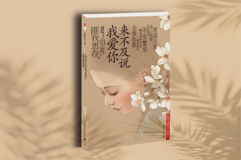 Bìa sách phiên bản tiếng Trung của tác phẩm Không kịp nói yêu em