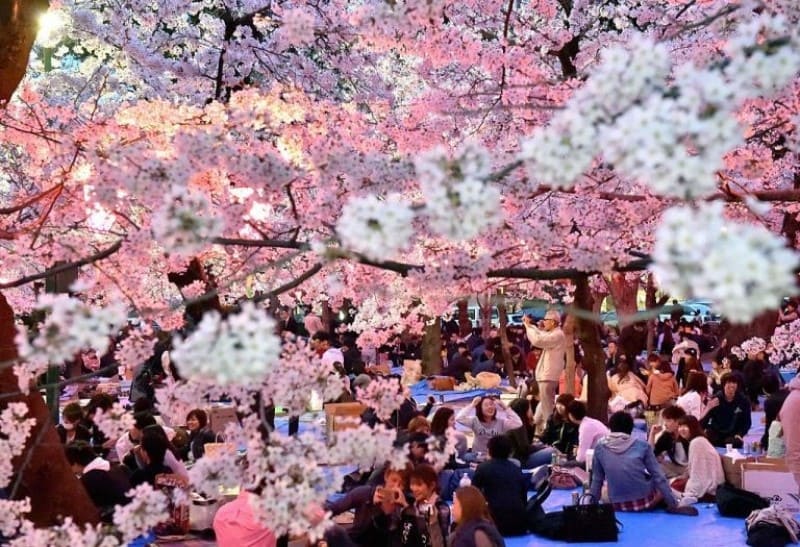 van hoa nhat ban hinh anh 11 - Văn hóa Nhật Bản: "Sức mạnh mềm" xây dựng đất nước phồn vinh