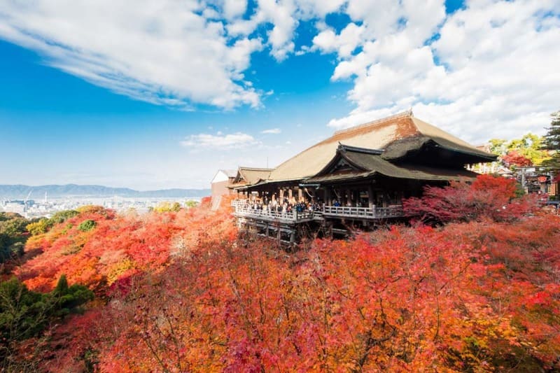 Chùa Kiyomizu - ngôi chùa được biết đến nhiều nhất tại cụm di tích lịch sử cố đô Kyoto