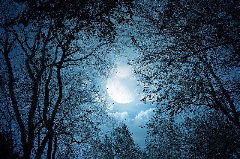 Manh trang cuoi rung hinh anh 5 - Mảnh trăng cuối rừng: Ánh trăng sáng trong những sáng tác của Nguyễn Minh Châu