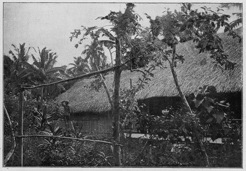 Paul Gauguin: Danh họa nổi bật của phong trào Hậu ấn tượng paul gauguin hinh anh 14 - Paul Gauguin: Danh họa nổi bật của phong trào Hậu ấn tượng