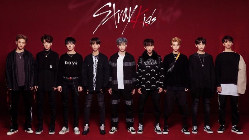 Chương trình thực tế Stray Kids do JYP Entertainment và Mnet tổ chức