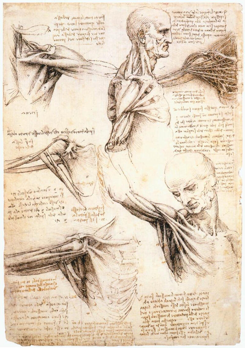 leonardo da vinci hinh anh 9 - Leonardo da Vinci: Thiên tài toàn năng của thời kỳ Phục hưng