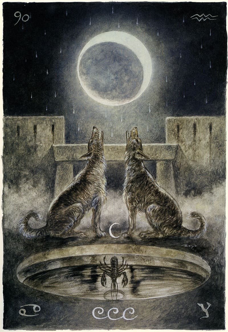 la bai the moon hinh anh 5 - The Moon là gì? Ý nghĩa của lá bài The Moon trong Tarot