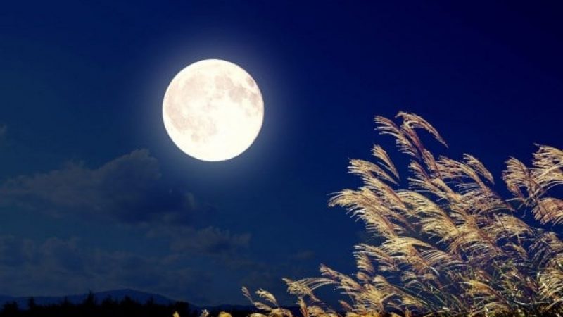 Ngắm trăng là bản giao hoà giữa con người và vầng trăng