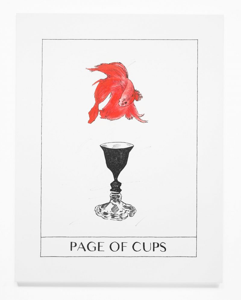 page of cups hinh anh 5 scaled e1648055143820 - Page Of Cups là gì? Ý nghĩa của lá bài Page Of Cups trong Tarot