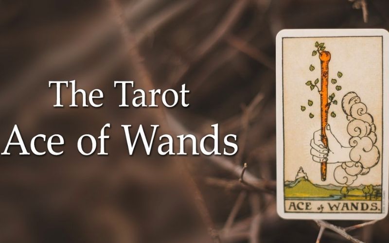 ace of wands hinh anh 2 - Ace of Wands là gì? Ý nghĩa của lá bài Ace of Wands trong Tarot