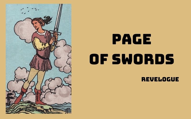 page of swords hinh anh 3 - Page of Swords là gì? Ý nghĩa của lá bài Page of Swords trong Tarot