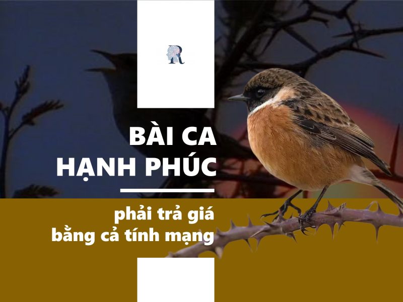 Tiếng chim cu gáy kích bổi nghe nhanh nổi - Âm thanh bẫy chim cu gáy -  YouTube