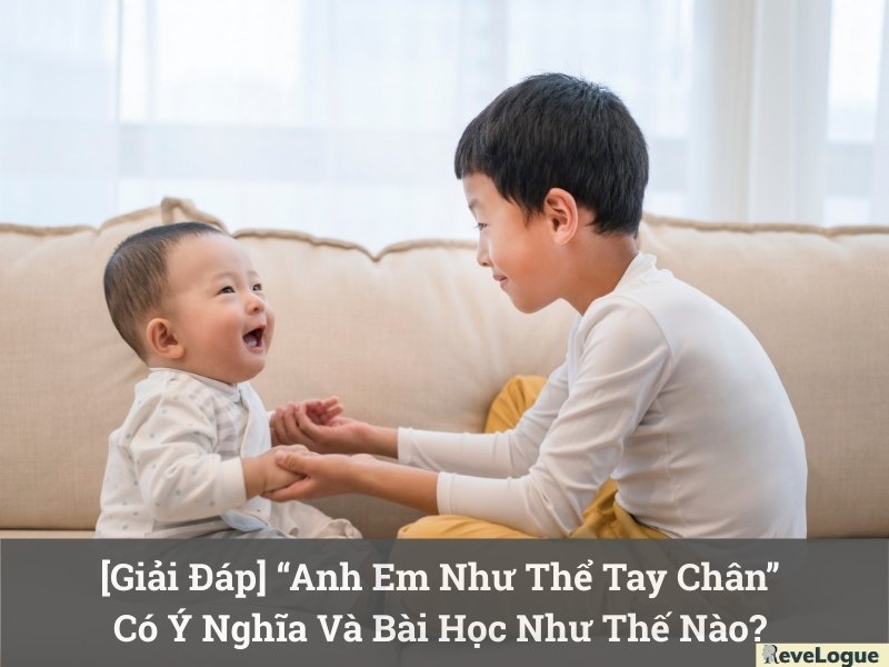 [Giải Đáp] “Anh Em Như Thể Tay Chân” Có Ý Nghĩa Và Bài Học Như Thế Nào?