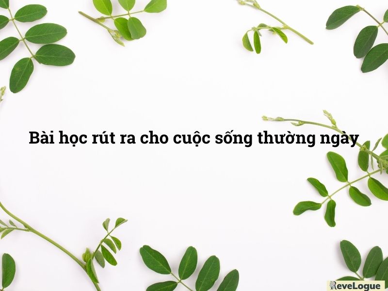 Bài học rút ra cho cuộc sống thường ngày