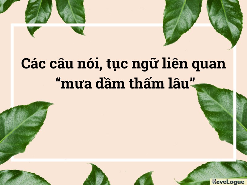Các câu nói, tục ngữ liên quan