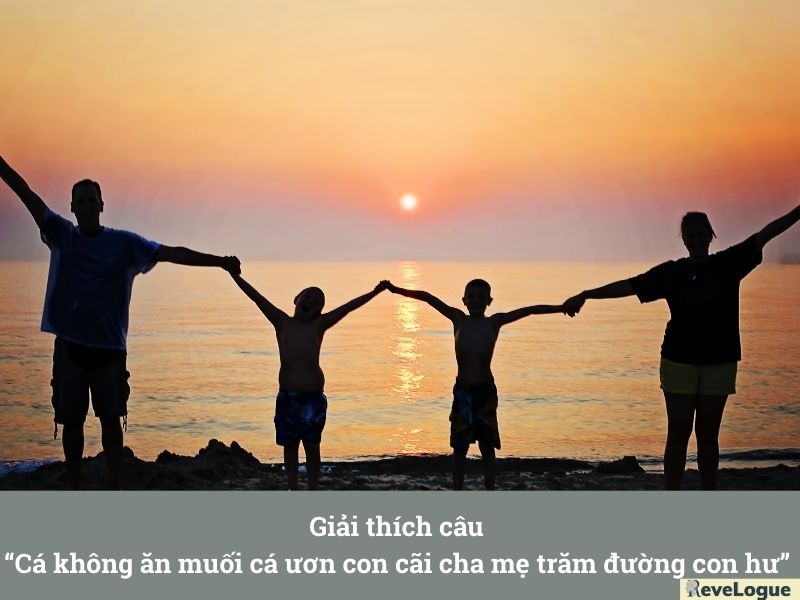 Giải thích câu “Cá không ăn muối cá ươn Con cãi cha mẹ trăm đường con hư”