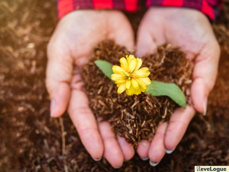 Giải thích câu tục ngữ "Người ta là hoa đất"