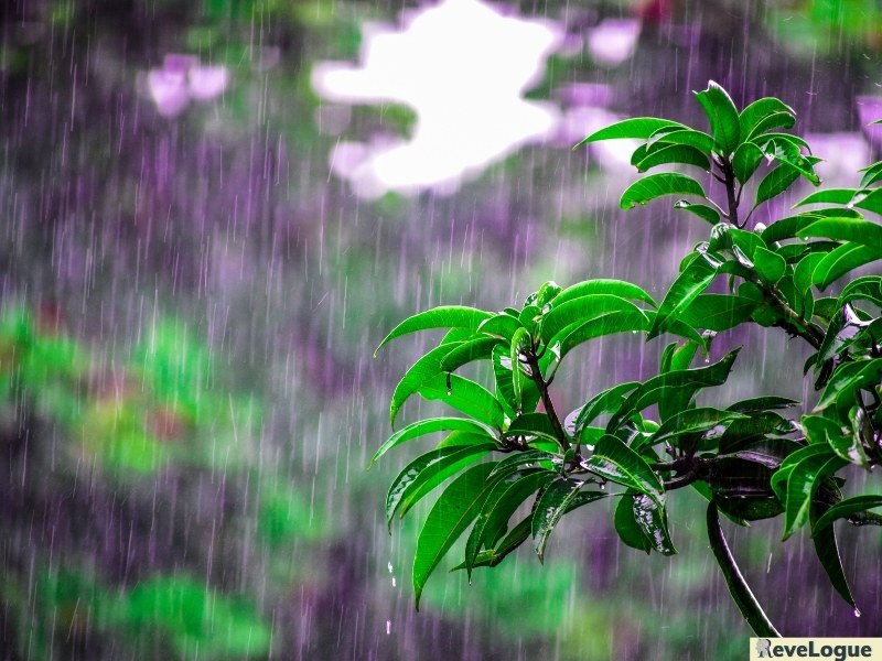 Giải thích thành ngữ “Mưa dầm thấm lâu” là gì?