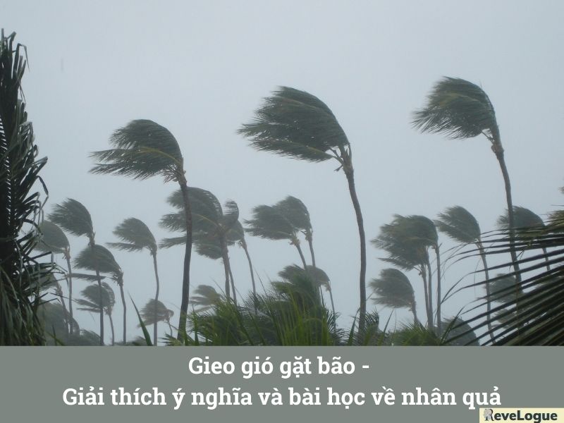 Gieo gió gặt bão - Giải thích ý nghĩa và bài học về nhân quả