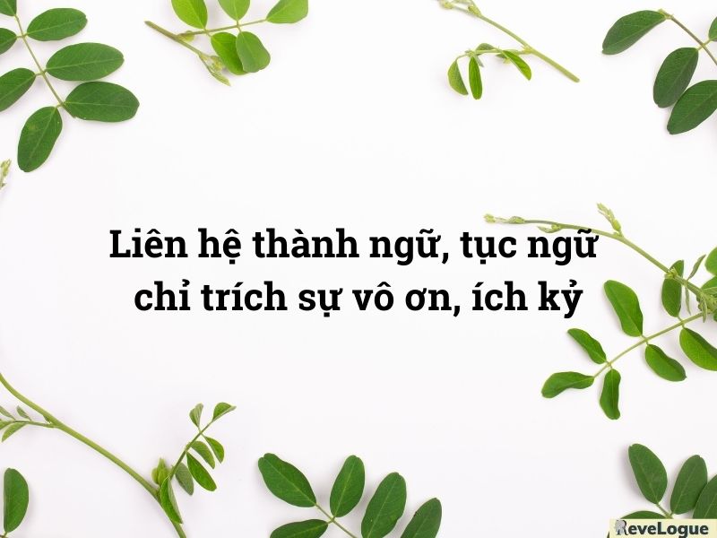 Liên hệ thành ngữ, tục ngữ chỉ trích sự vô ơn, ích kỷ