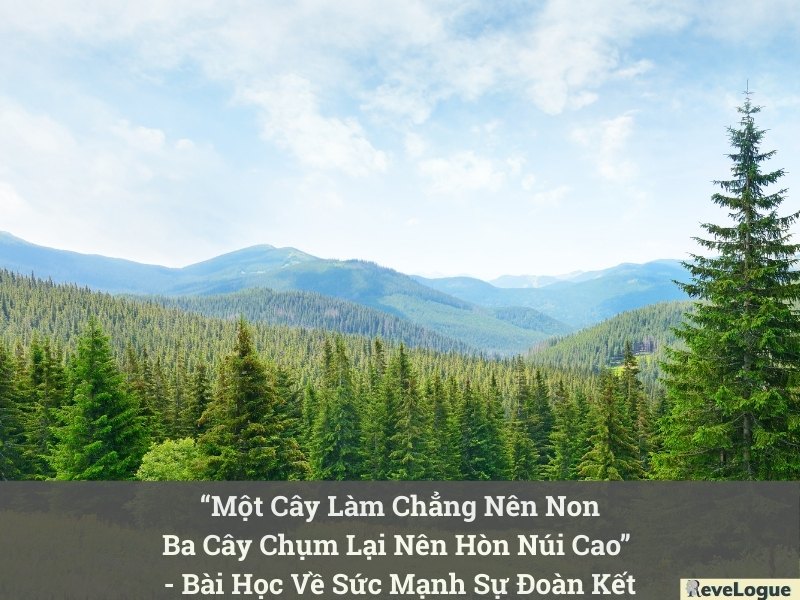 “Một Cây Làm Chẳng Nên Non Ba Cây Chụm Lại Nên Hòn Núi Cao” - Bài Học Về Sức Mạnh Sự Đoàn Kết