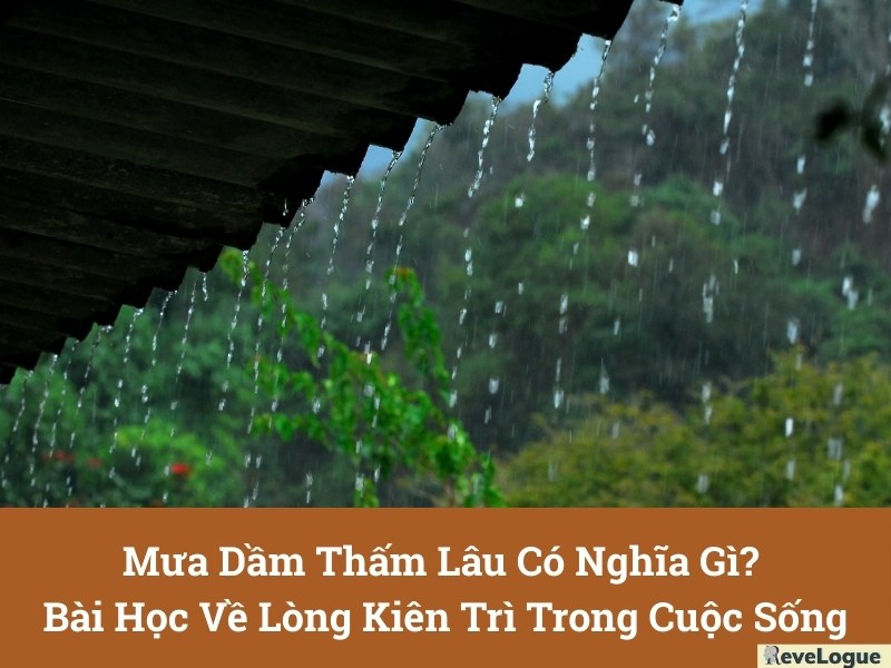 Mưa Dầm Thấm Lâu Có Nghĩa Gì? Bài Học Về Lòng Kiên Trì Trong Cuộc Sống