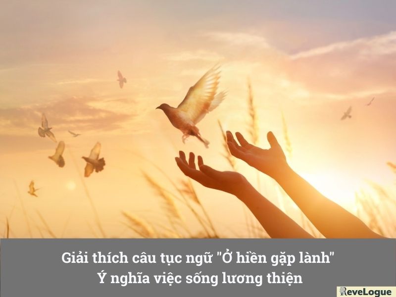 Giải thích câu tục ngữ "Ở hiền gặp lành" - Ý nghĩa việc sống lương thiện
