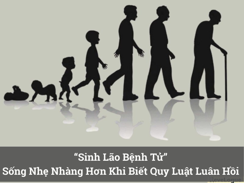 “Sinh Lão Bệnh Tử” - Sống Nhẹ Nhàng Hơn Khi Biết Quy Luật Luân Hồi