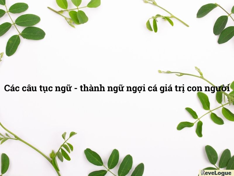 Các câu tục ngữ - thành ngữ ngợi cá giá trị con người