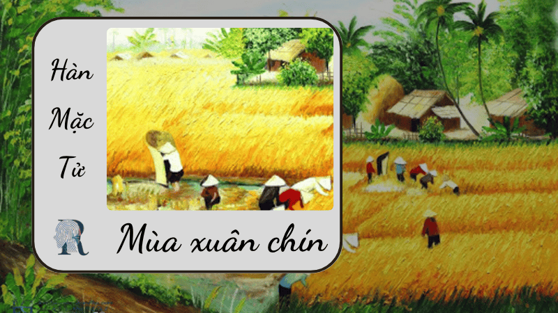 Mùa xuân chín