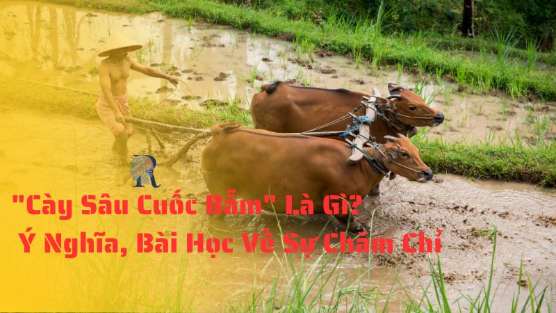 "Cày Sâu Cuốc Bẫm" Là Gì? - Ý Nghĩa, Bài Học Về Sự Chăm Chỉ