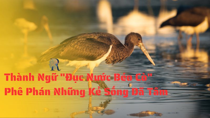 Thành Ngữ "Đục Nước Béo Cò" - Phê Phán Những Kẻ Sống Dã Tâm