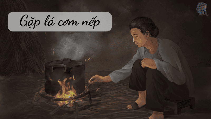 Gặp lá cơm nếp