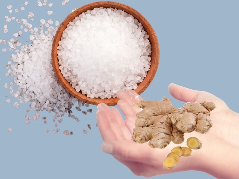Giải thích câu tục ngữ "Gừng cay muối mặn xin đừng có quên"