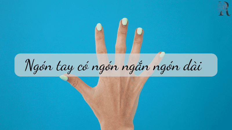 Ngón tay có ngón ngắn ngón dài