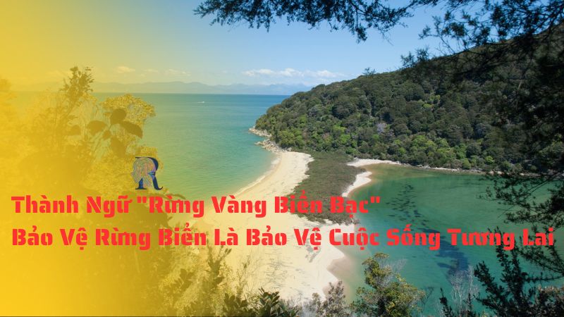 Thành Ngữ "Rừng Vàng Biển Bạc" - Bảo Vệ Rừng Biển Là Bảo Vệ Cuộc Sống Tương Lai