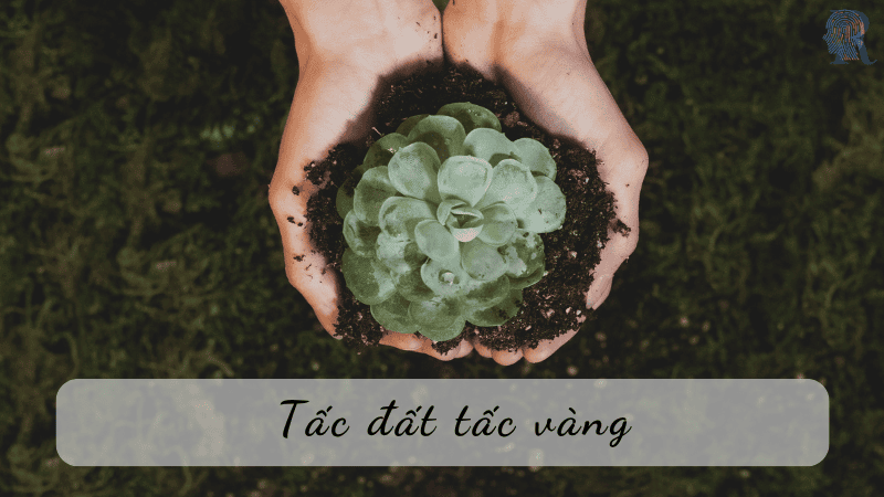 Tấc đất tấc vàng