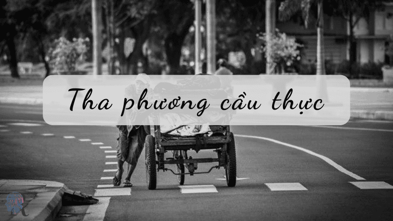 Tha phương cầu thực